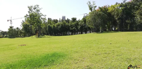 博览中心周边景色