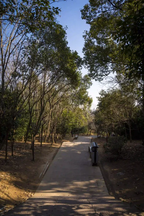 仁皇山爬山走道2