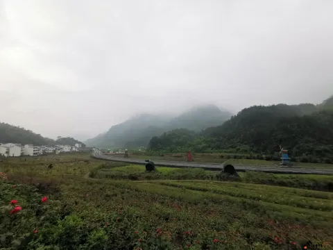 浦江茜溪悠谷