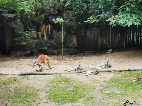 杭州动物园
