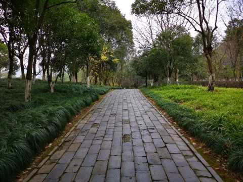 湘湖行人走道