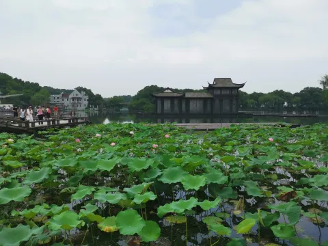 岳湖6