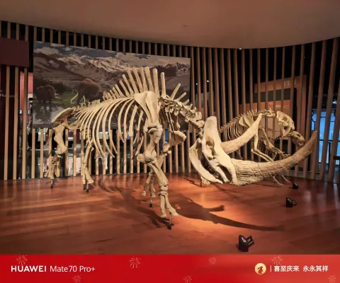 上海自然博物馆12