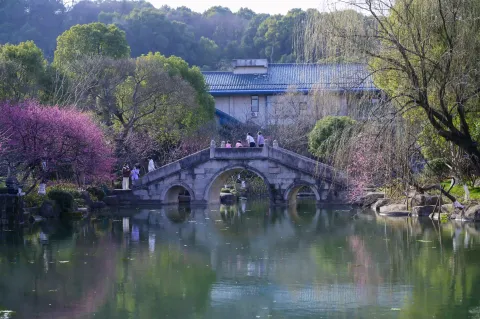 超山赏梅11