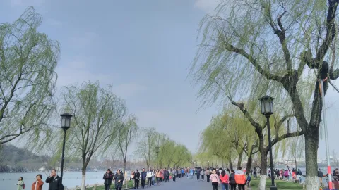白堤景色