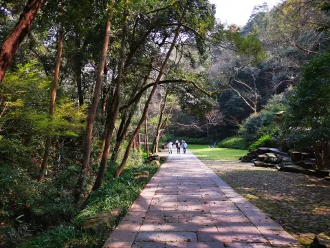虎跑泉