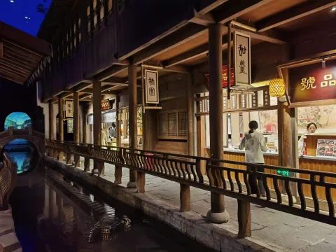 大运河街肆印象3