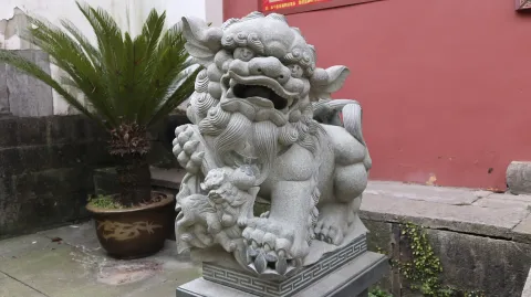 福星观6