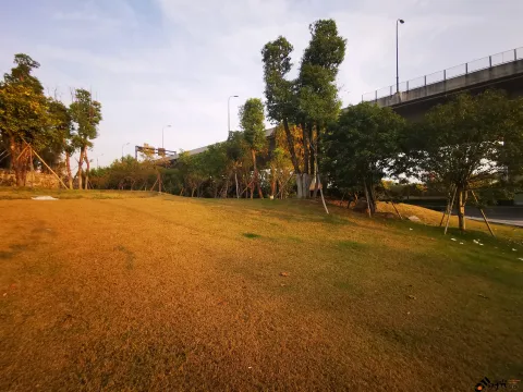 秋季的草地