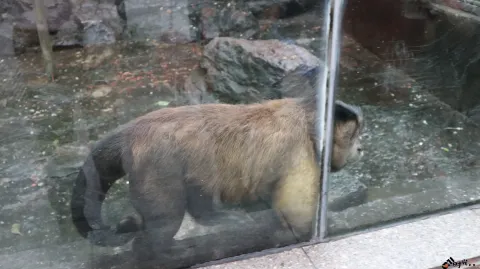 杭州动物园