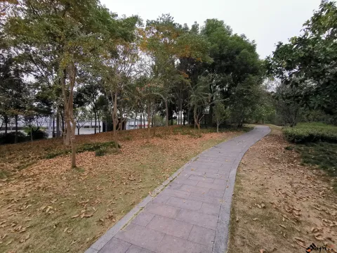 钱江南岸步行道