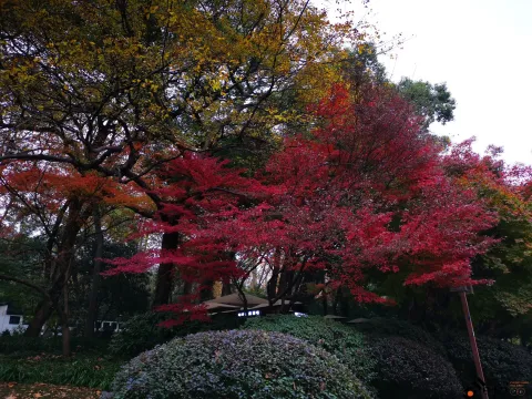 西湖，北山街南侧的景色
