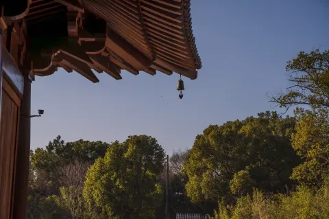 仁王护国禅寺5