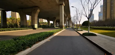 西兴大桥高14