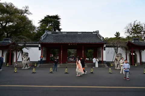 孤山8