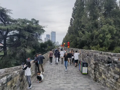玄武湖6