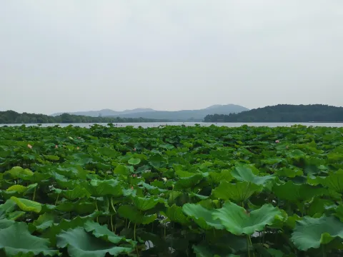 湛碧楼4