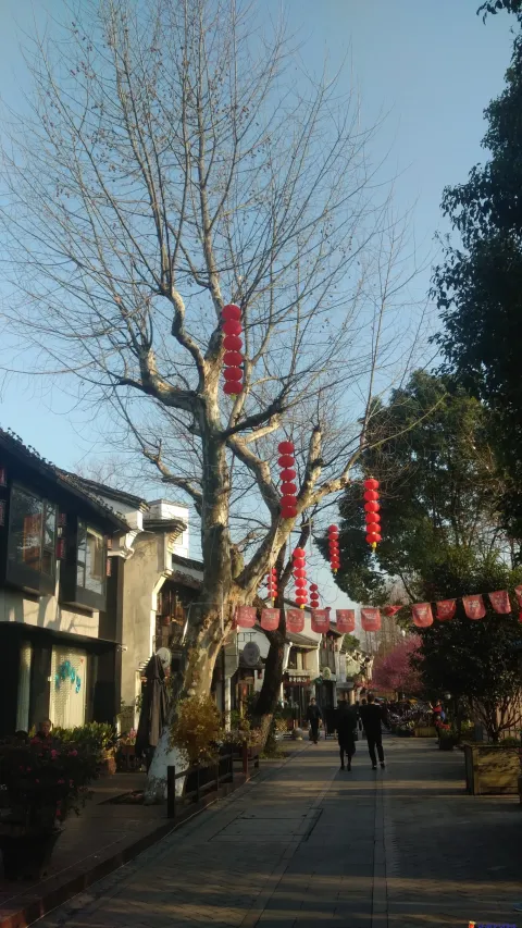大兜路历史文化街区