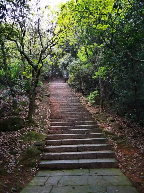 五云山44
