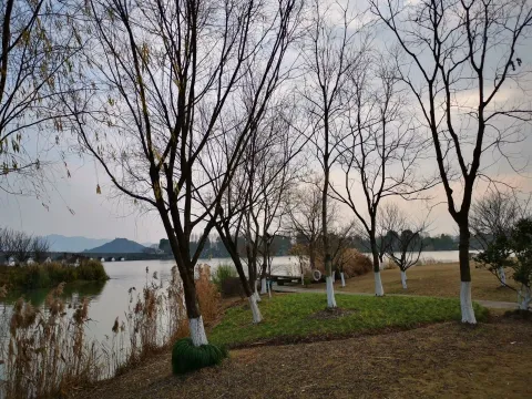 湘湖边的景色