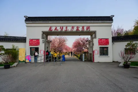 龙之梦东方盆景园1