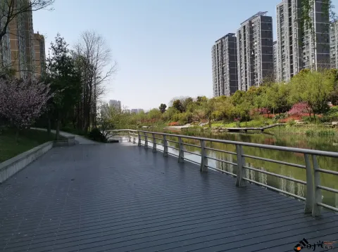 不一样的小河景致