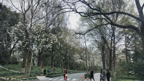 玉古路景色