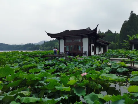 湛碧楼3