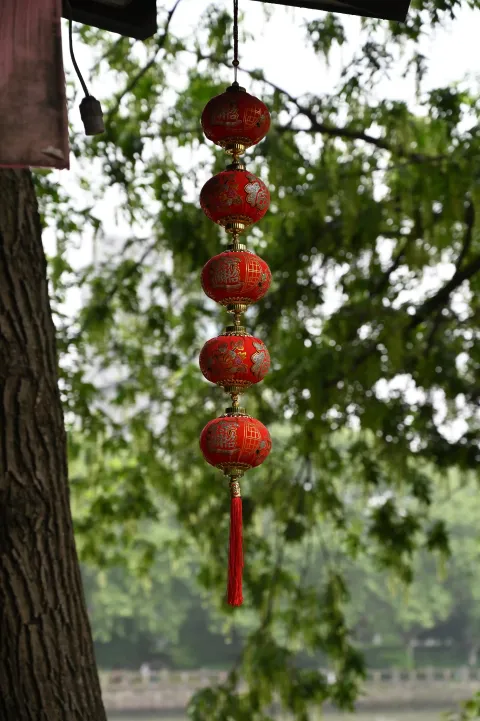 桥西随拍7