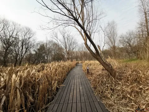 西溪国家湿地公园