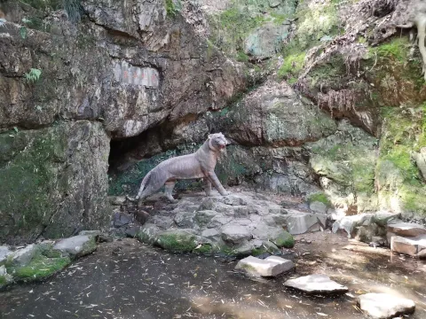 虎跑泉