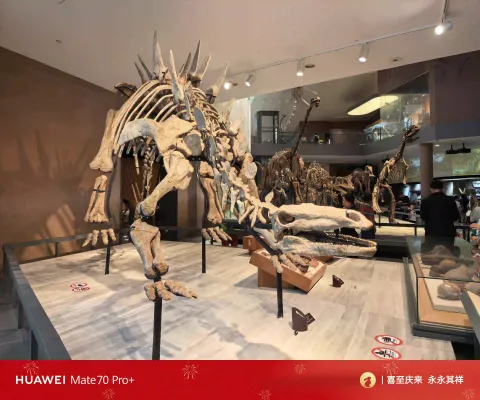 上海自然博物馆5