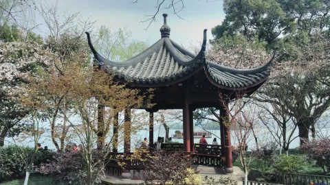 苏堤景色