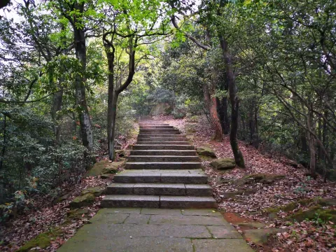 五云山50