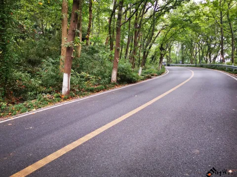 行走在满觉陇路