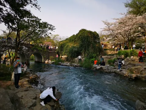 太子湾踏春30