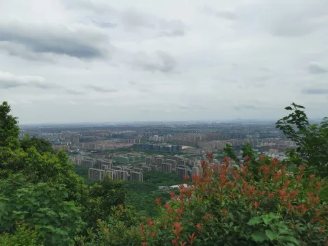 半山国家森林公园8