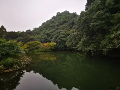 九溪路两侧的美景