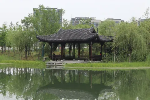 桃花湖公园9