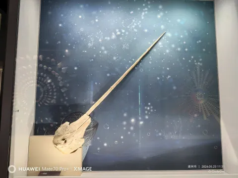 自然之美5