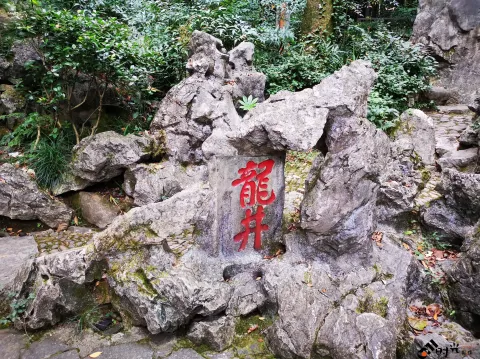龙井路，龙井问茶，寻龙井古址