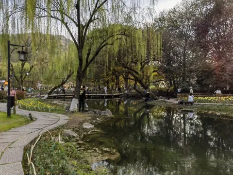 杭州太子湾公园11