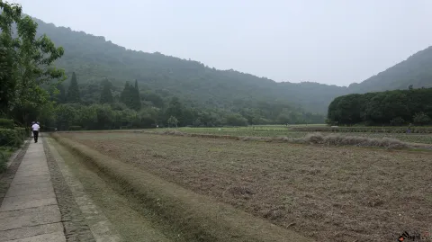 玉皇山下八卦田的景色