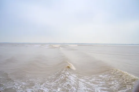 钱江潮8
