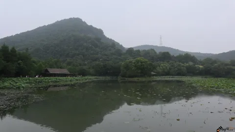 玉皇山下八卦田的景色