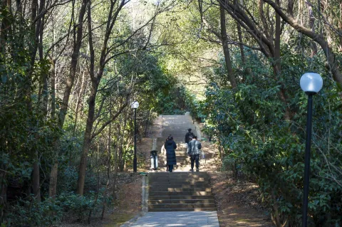 仁皇山爬山走道3