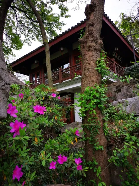 万松书院18