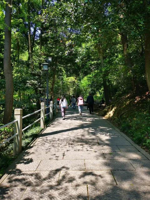 攀爬北高峰1
