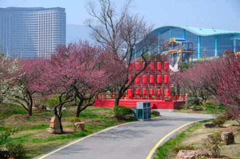 龙之梦东方盆景园8