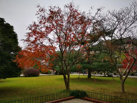 浙江省博物馆（孤山）